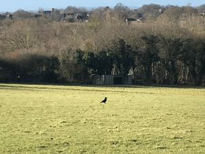 Photo 2- click for photo gallery